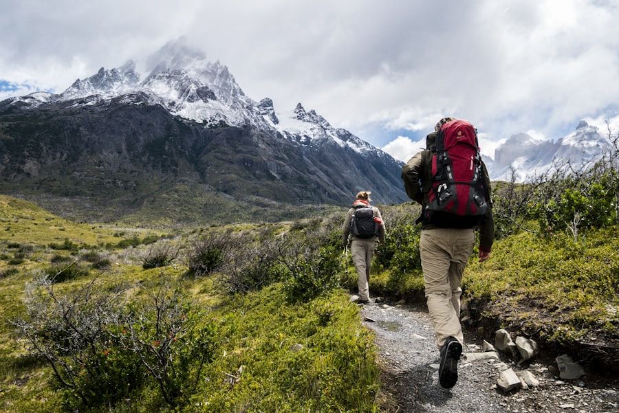 緑の稜線をトレッキングする登山者